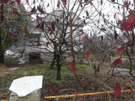 Kuća za rušenje sa velikim placem na odličnoj lokaciji u Majuru