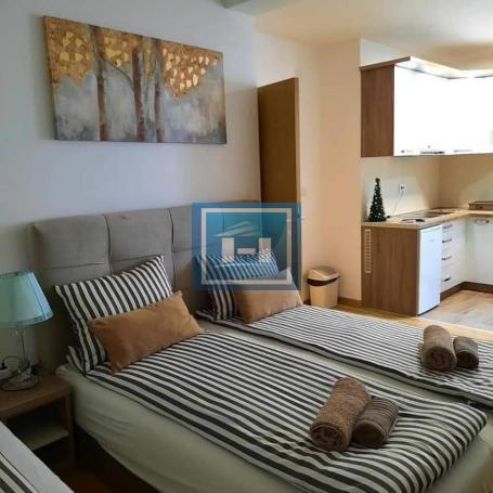 Apartment in the center of Sokobanja