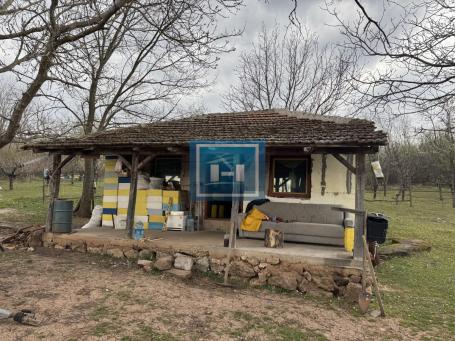 Household for Sale – 3.11 ha in one piece + cottage + mini sheep farm + orchard + sheep included