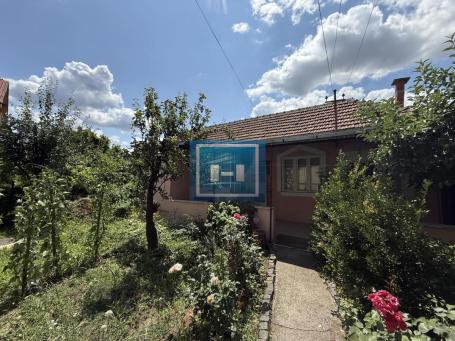 Homes for sale in the extended city center, on the streets of Knez Lazar.
