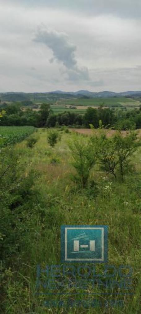 Njiva 4. klase u Rekovcu na gradskoj lokaciji zgodna prilika  za vikend kuću