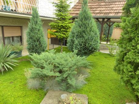 House - price with furniture