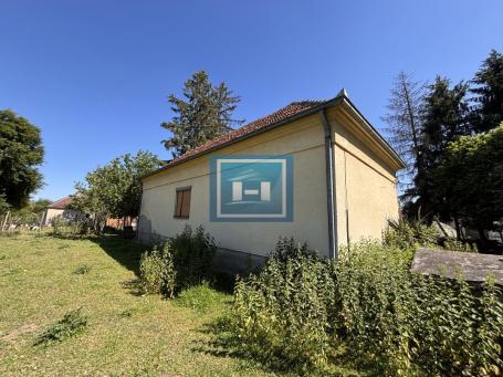 House with a complete estate and auxiliary building in the very center of the village