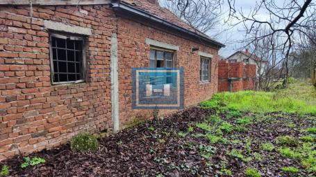 Two houses with a large plot in Lapovo