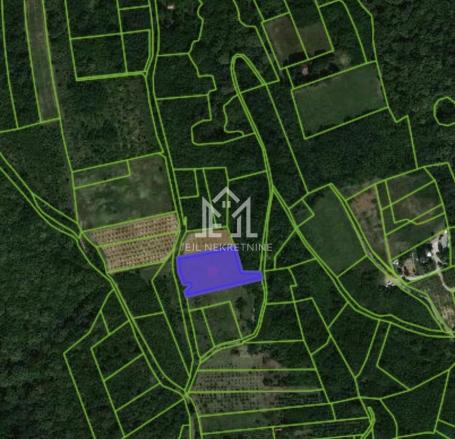 Prodaje se poljoprivredno zemljište – 3.175 m² (Krčevine potes, blizina Manastira Hopovo)
