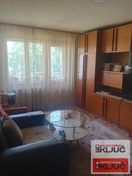 DETELINARA, 52m2, Dvosoban, Izvoran