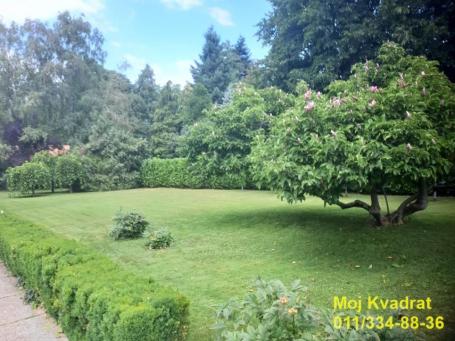 Savski venac, Dedinje - kod Užičke ulice, 270m2