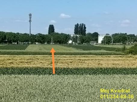 Zemun, Batajnica - Pustara, 45.84a