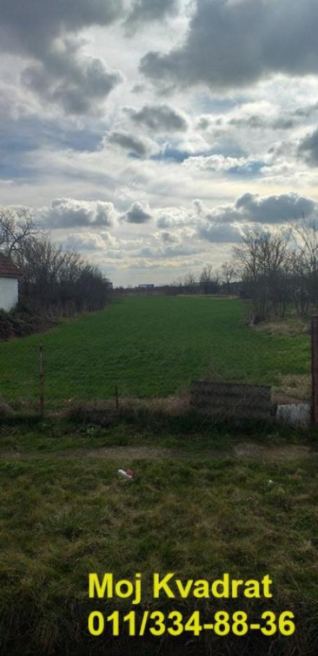 Stara Pazova, Krnješevci - Ugrinovačka, 54.68 ari