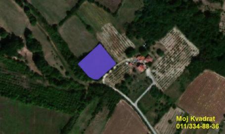 Topola - Despotovica, 20a
