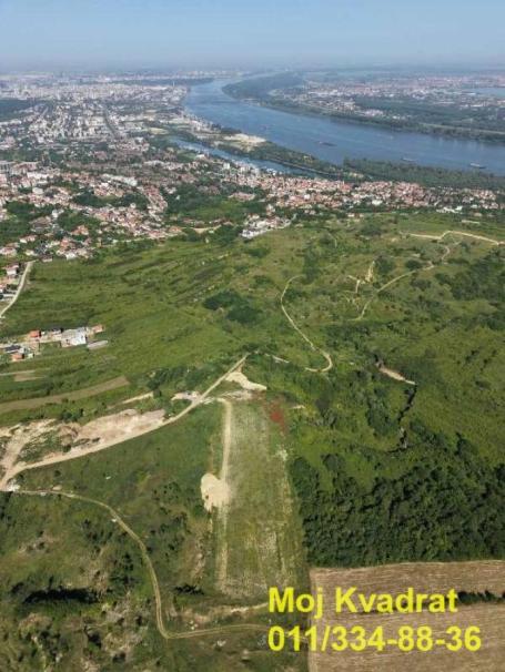 Palilula, Višnjička banja - Komarevo, 100.86a