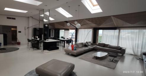 Lux, Dedinje, 240 m2 + T, 4.0