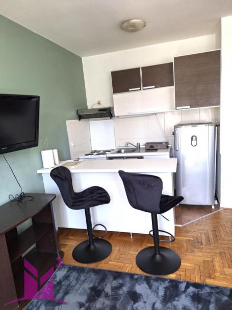 Novi Sad - pet friendly