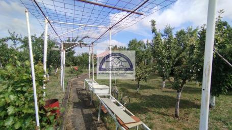 Prodaja, Kuća, 37m2 , Cerovac