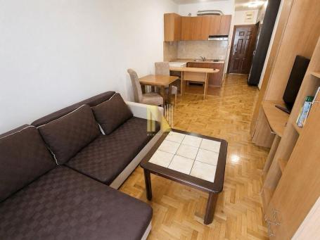 Garsonjera, Braće Ribnikar