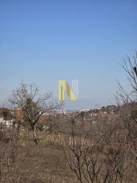 Vikendica za adaptaciju na odličnoj parceli - Popovica