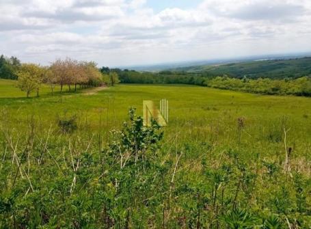 Izuzetna parcela u ekstra zoni sa pogledom na Srem - Vrdnik
