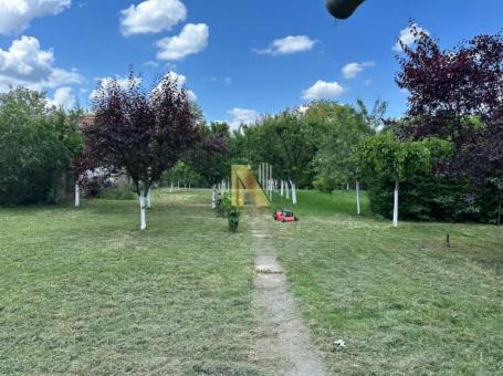 Na prodaju atraktivan plac u Novom Miloševu