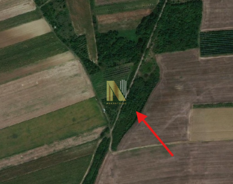 Prodaje se plac u blizini Pavlovačkog jezera - sat vremena vožnje od Beograda
