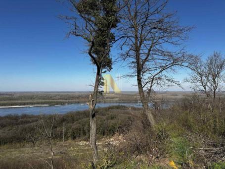 Čortanovci - 20 ari - građevinsko zemljište - panoramski pogled na Dunav
