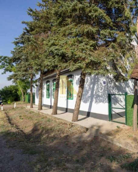 Prodaje se odlican salas u Srbobranu