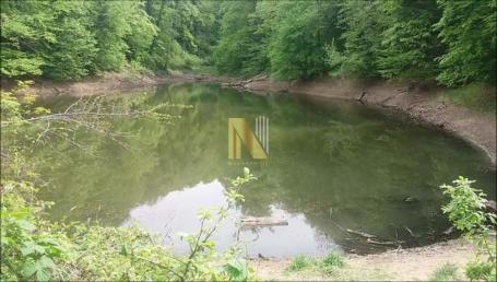 Fruška Gora – plac sa šumom i livadom u blizini Popovičkog jezera