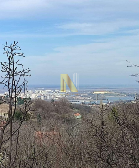 Popovica - pogled na Novi Sad, Dunav i Petrovaradinsku tvrđavu