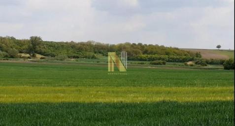 Ruma - 25.3 jutara na 2.5km od asfalta