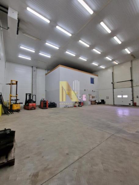 Za izdavanje hala od 1200 m2 na Čeneju