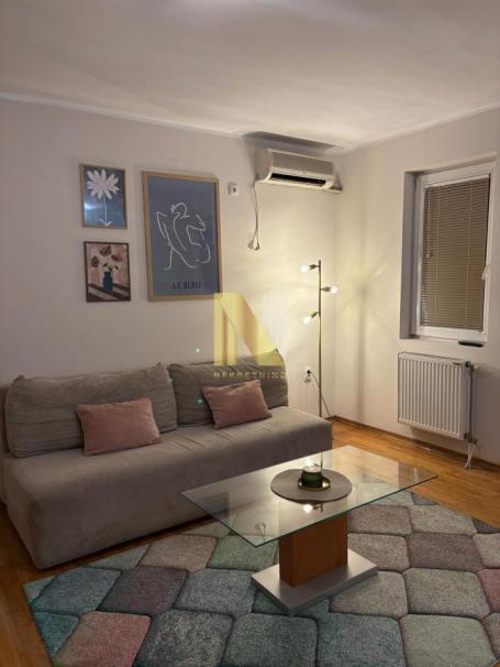 Izdaje se namešten stan u Kisačkoj ulici - pet friendly