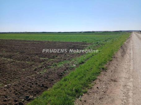 Surčin-Petrovčić, blizina centra-83a+118a