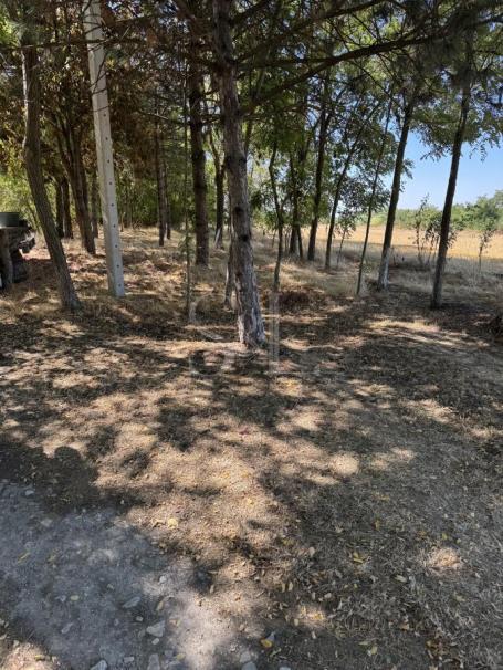 KREČANA, VINOGRAD, VOĆNJAK I BAGRENJAK!