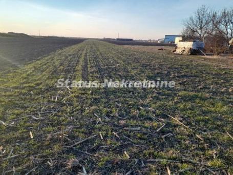 ZEMLJIŠTE 5640M2 NA POTEZU NOVI SAD-RUMENKA 260 000EU