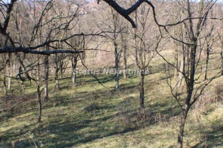 Plac 24,93 a u Irigu