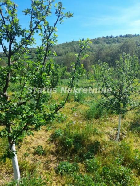 Sremski Karlovci-POVOLJNO-Fantastičan Osunčan plac 3 hektara iz 3 parcele sa pogledom za Uživanje-06