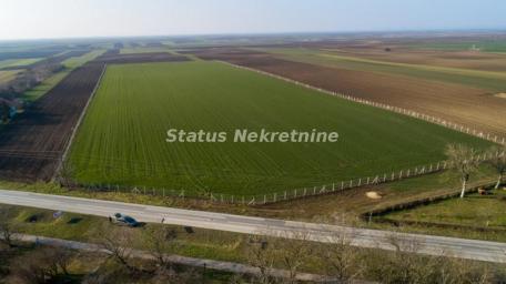 Stara Pazova Okolina-Građevinski Plac 5,5 hektara u Građevinskoj Zoni-065/385 8880