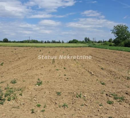 Begeč--Građevinski Plac 720 m2 u mirnom Urbanom kraju blizu Dunavskog šetališta