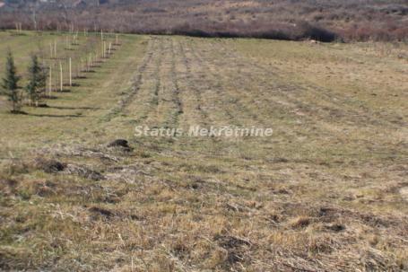 Odličan plac Vrdnik- Bekatovo  sa predivnim pogledom 0653858888