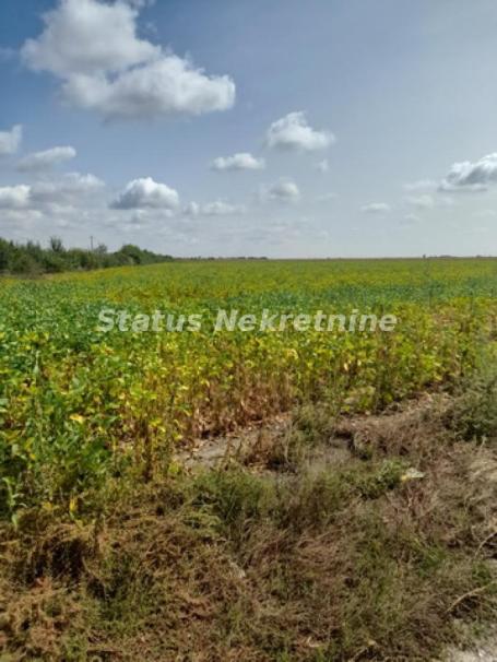 Sremska Mitrovica-Velika Parcela 34150 m2 u blizini Auto-Puta za Komercijalnu Delatnost-065/385 8880