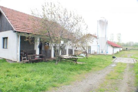 Mošorin - Farma za uzgoj svinja