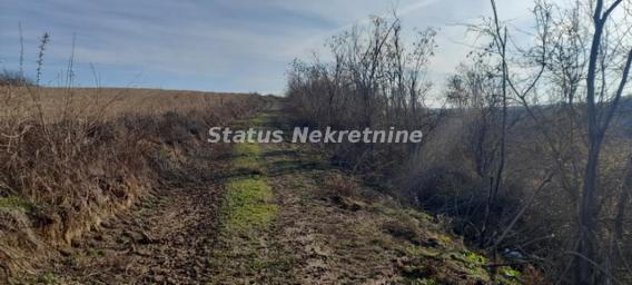 Susek- Zemljište pod Bagremom 13000 m2 potez Dumara-065/385 8880
