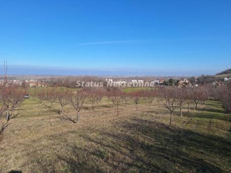 Beočin-Velika Parcela 7500m2 iznad Centra sa Pogledom na Novi Sad-065/385 8880