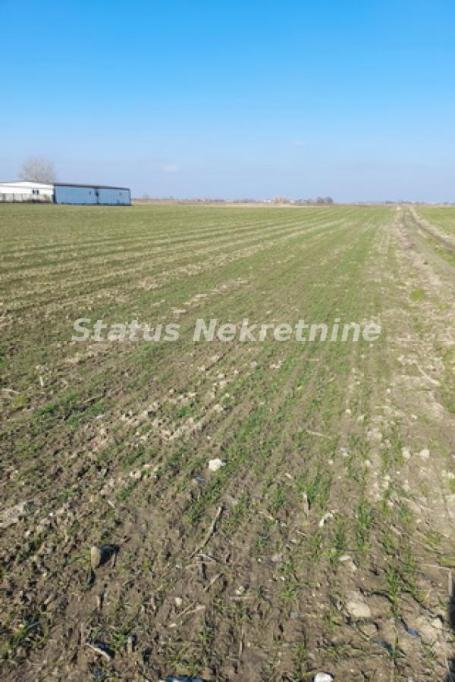 Futog-*Ekskluziva*-Pogodna Građevinska Parcela 2583 m2 u komadu-065/385 8880