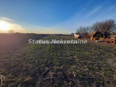 ZEMLJIŠTE 5640M2 NA POTEZU NOVI SAD-RUMENKA 260 000EU