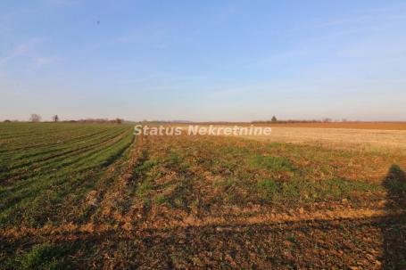 Poljoprivredno zemljište  7700 m2 -0653858888