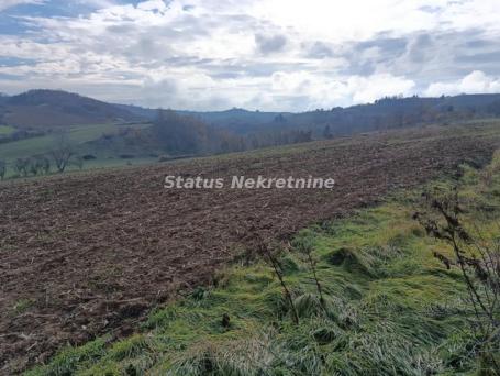 Sremski Karlovci-Osunčan Veliki Plac 3,2 Hektara sa Pogledom za Uživanje-065/385 8880