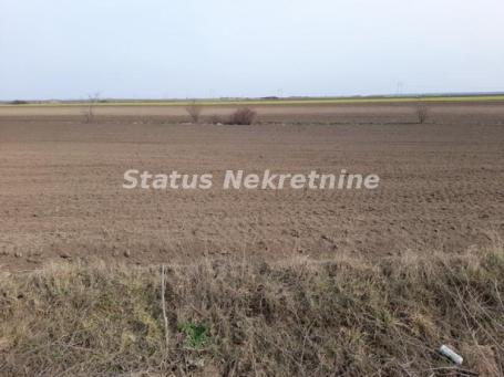 Parcela 10975 m2 na putu Žabalj-Đurđevo za Biznis-065/385 8880