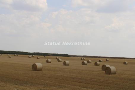 Čenej - građevinsko zemljište 24073m2