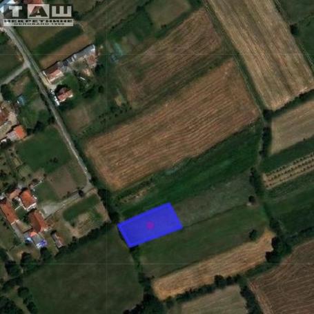 TRI PLACA U LUŽNICAMA