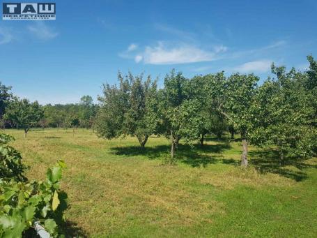 KUĆA U NOVOM MILANOVCU
